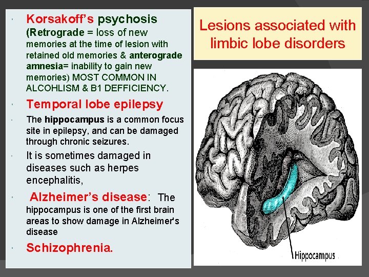 Korsakoff’s psychosis (Retrograde = loss of new memories at the time of lesion  Korsakoff’s psychosis (Retrograde = loss of new memories at the time of lesion