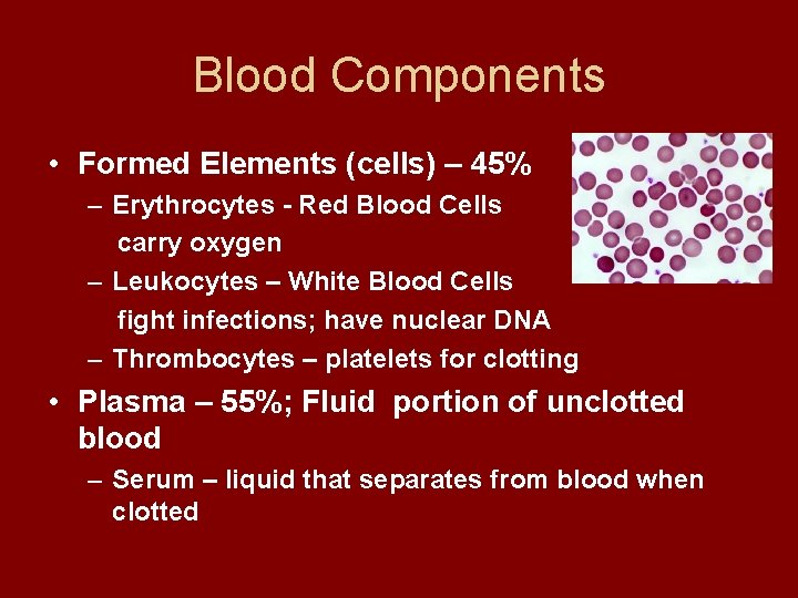 Blood Components • Formed Elements (cells) – 45% – Erythrocytes - Red Blood Cells