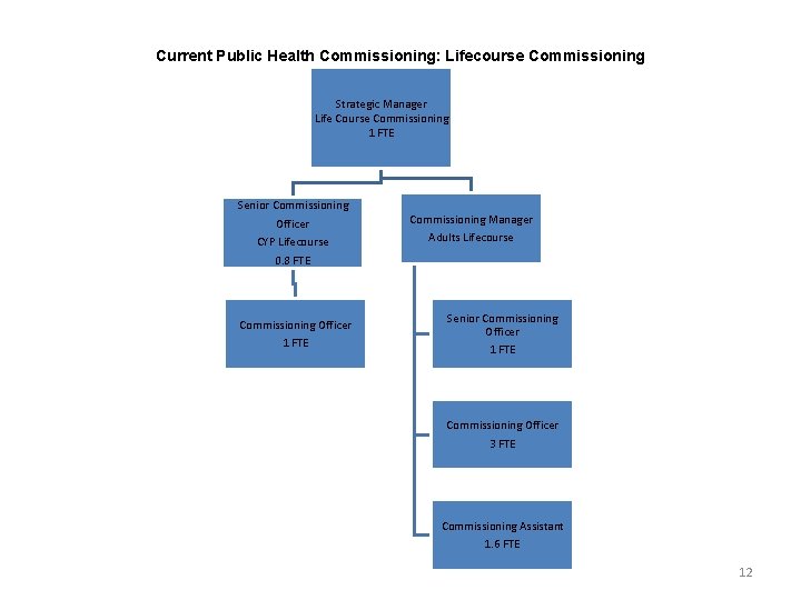 Current Public Health Commissioning: Lifecourse Commissioning Strategic Manager Life Course Commissioning 1 FTE Senior