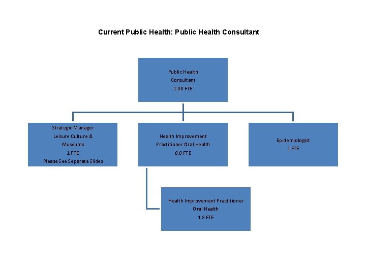 Current Public Health: Public Health Consultant 1. 08 FTE Strategic Manager Leisure Culture &