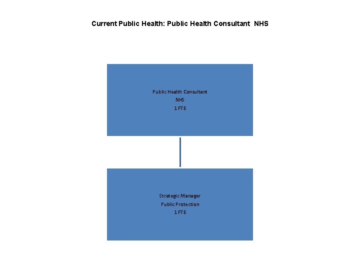 Current Public Health: Public Health Consultant NHS 1 FTE Strategic Manager Public Protection 1 Current Public Health: Public Health Consultant NHS 1 FTE Strategic Manager Public Protection 1