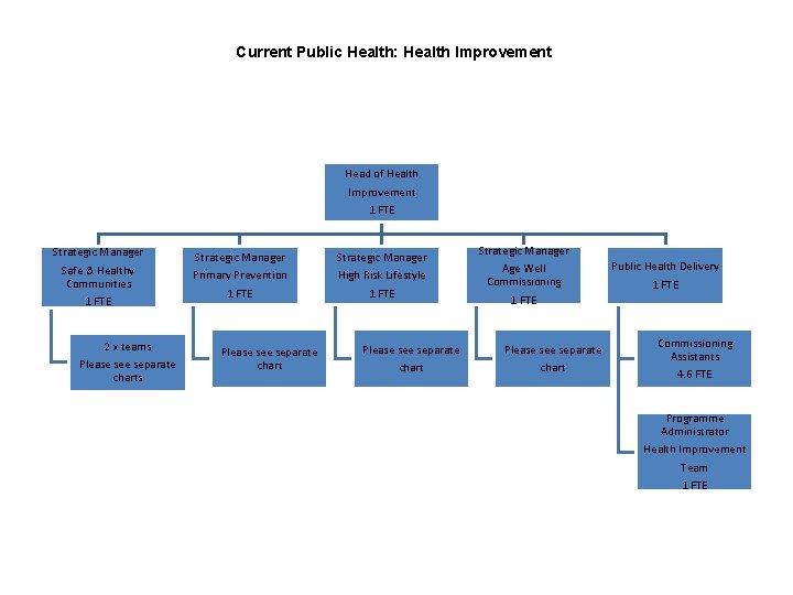 Current Public Health: Health Improvement Head of Health Improvement 1 FTE Strategic Manager Safe
