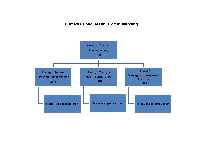 Current Public Health: Commissioning Assistant Director Commissioning 1 FTE Strategic Manager Age Well Commissioning