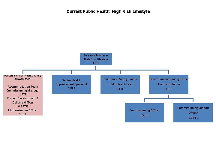 Current Public Health: High Risk Lifestyle Strategic Manager High Risk Lifestyle 1 FTE Denotes