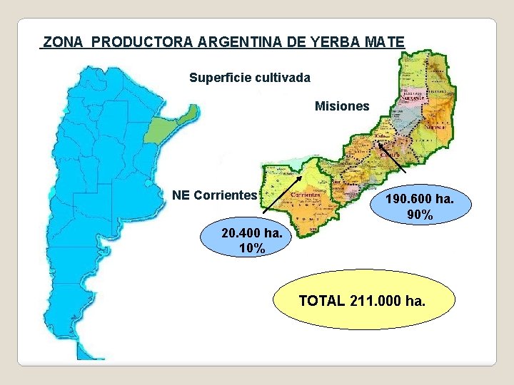 ZONA PRODUCTORA ARGENTINA DE YERBA MATE Superficie cultivada Misiones NE Corrientes 190. 600 ha.