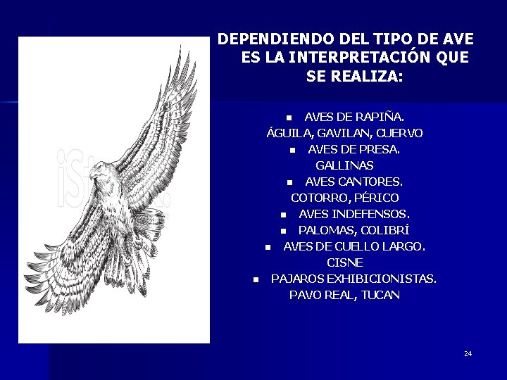 DEPENDIENDO DEL TIPO DE AVE ES LA INTERPRETACIÓN QUE SE REALIZA: AVES DE RAPIÑA.