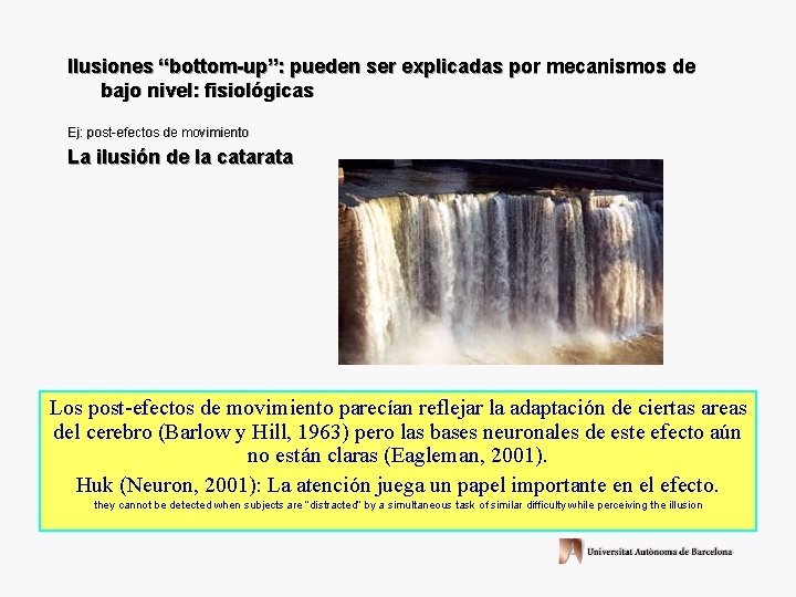 Ilusiones “bottom-up”: pueden ser explicadas por mecanismos de bajo nivel: fisiológicas Ej: post-efectos de