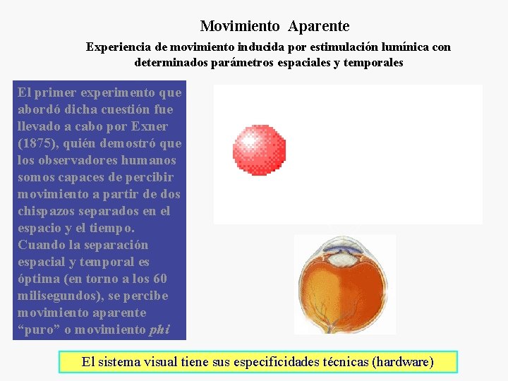 Movimiento Aparente Experiencia de movimiento inducida por estimulación lumínica con determinados parámetros espaciales y