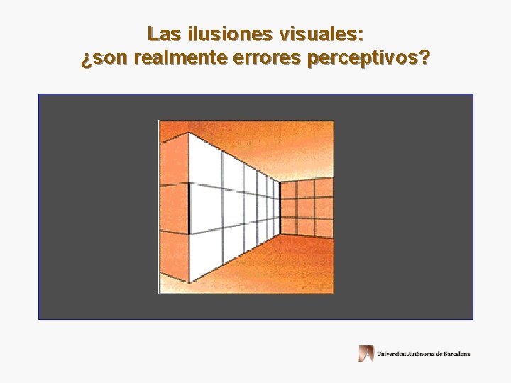 Las ilusiones visuales: ¿son realmente errores perceptivos? 