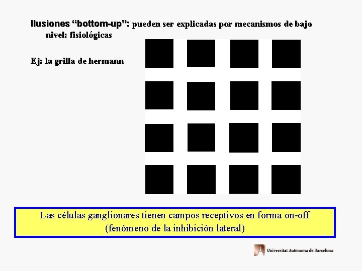 Ilusiones “bottom-up”: pueden ser explicadas por mecanismos de bajo nivel: fisiológicas Ej: la grilla