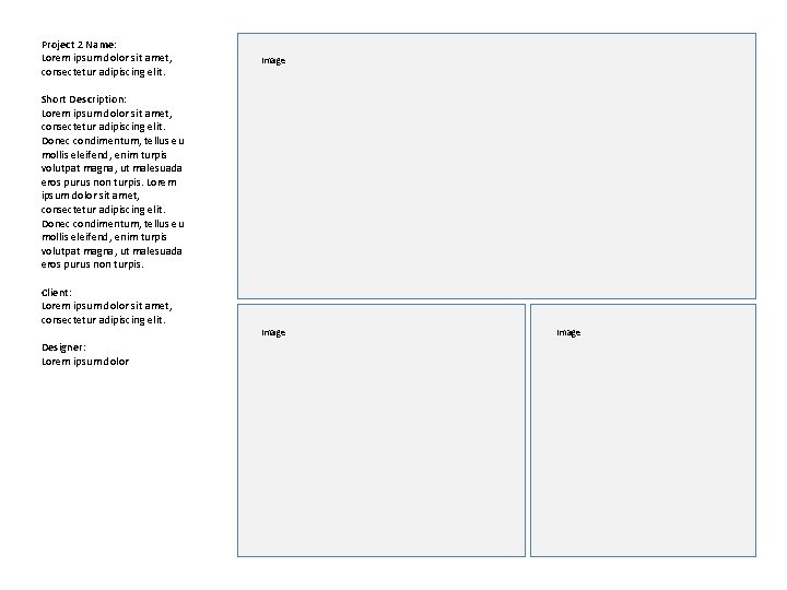 Project 2 Name: Lorem ipsum dolor sit amet, consectetur adipiscing elit. Image Short Description: