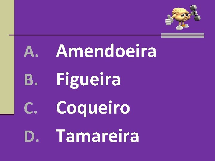 A. Amendoeira B. Figueira Coqueiro D. Tamareira C. A. Amendoeira B. Figueira Coqueiro D. Tamareira C.