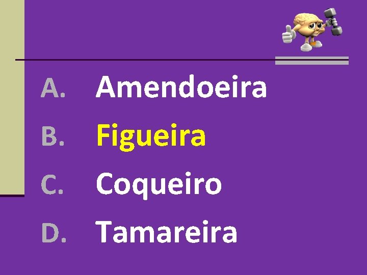 A. Amendoeira B. Figueira Coqueiro D. Tamareira C. A. Amendoeira B. Figueira Coqueiro D. Tamareira C.