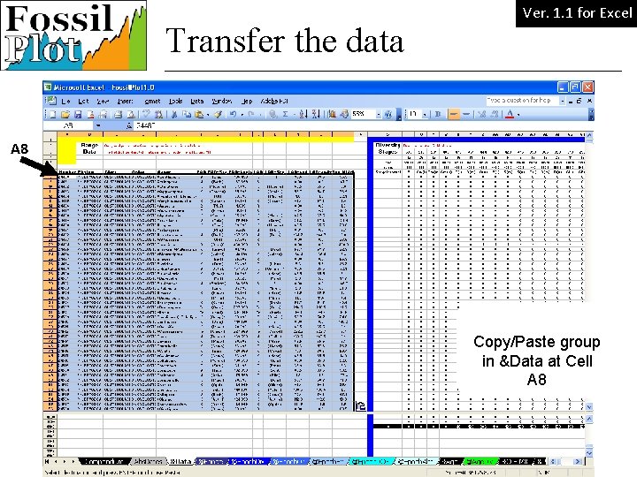 Speciation Transfer the data Ver. 1. 1 for Excel A 8 Copy/Paste group in