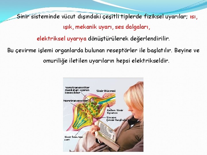 Sinir sisteminde vücut dışındaki çeşitli tiplerde fiziksel uyarılar; ısı, ışık, mekanik uyarı, ses dalgaları,