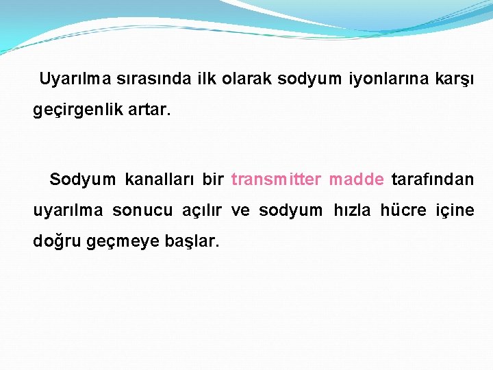 Uyarılma sırasında ilk olarak sodyum iyonlarına karşı geçirgenlik artar. Sodyum kanalları bir transmitter madde