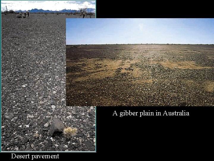 A gibber plain in Australia Desert pavement 