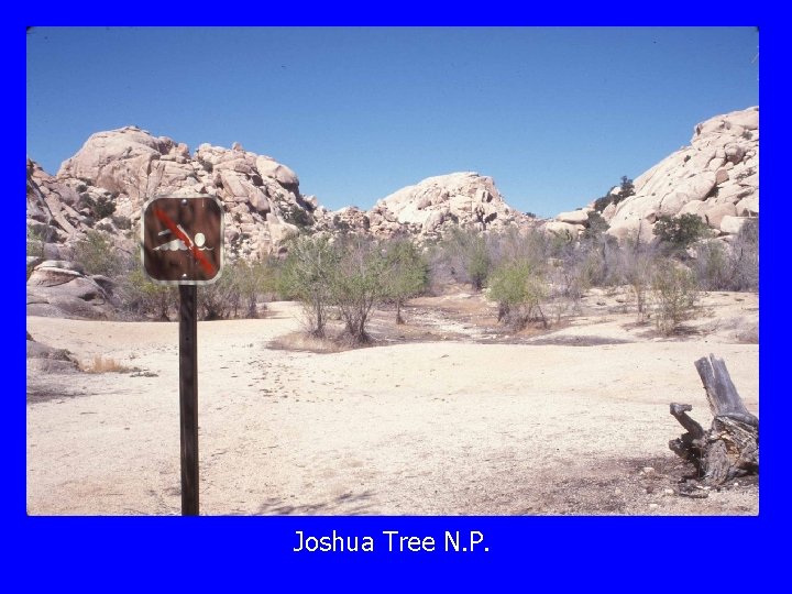 Joshua Tree N. P. 