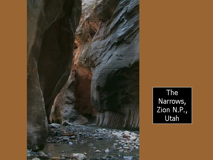 The Narrows, Zion N. P. , Utah 