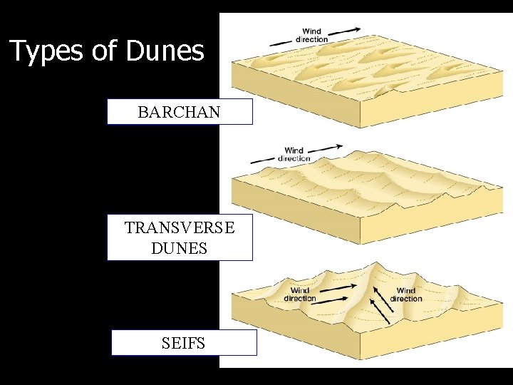 Types of Dunes BARCHAN TRANSVERSE DUNES SEIFS 