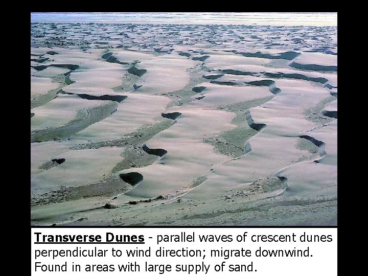 Transverse Dunes - parallel waves of crescent dunes perpendicular to wind direction; migrate downwind.