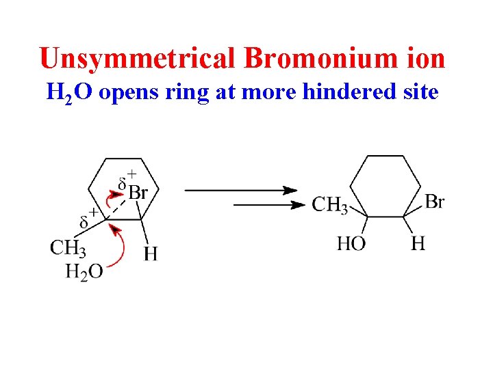 Unsymmetrical Bromonium ion H 2 O opens ring at more hindered site 