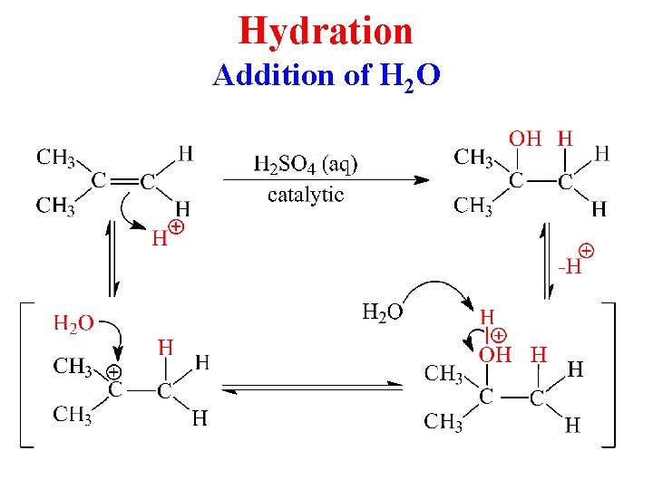Hydration Addition of H 2 O 