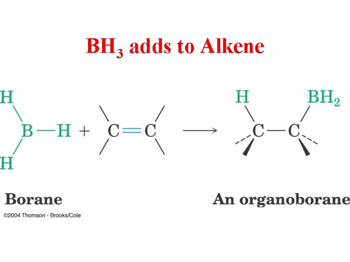 BH 3 adds to Alkene 