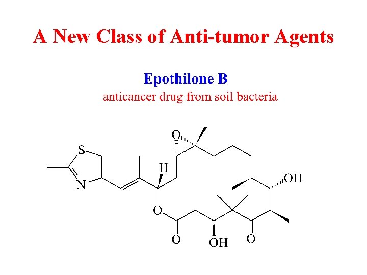 A New Class of Anti-tumor Agents 