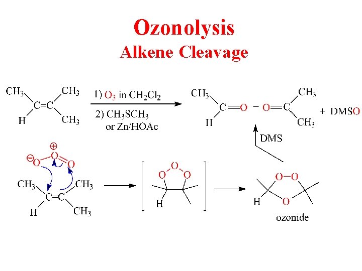 Ozonolysis Alkene Cleavage 