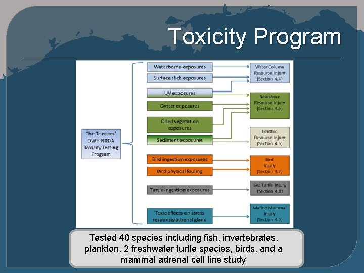 Toxicity Program Tested 40 species including fish, invertebrates, plankton, 2 freshwater turtle species, birds,