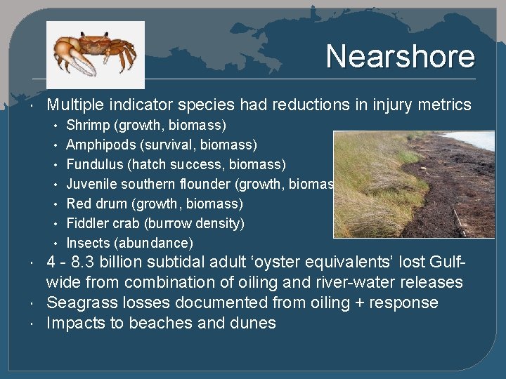 Nearshore Multiple indicator species had reductions in injury metrics • Shrimp (growth, biomass) •