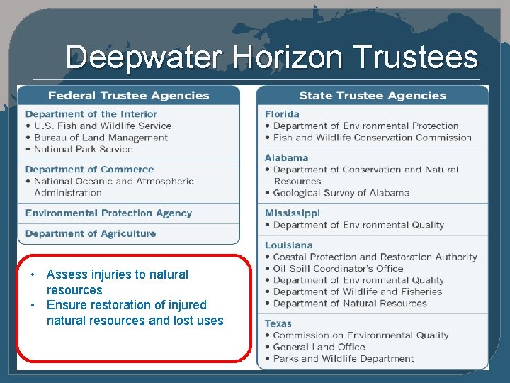 Deepwater Horizon Trustees • Assess injuries to natural resources • Ensure restoration of injured