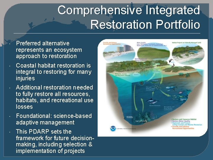 Comprehensive Integrated Restoration Portfolio Preferred alternative represents an ecosystem approach to restoration Coastal habitat