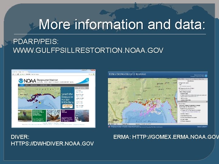 More information and data: PDARP/PEIS: WWW. GULFPSILLRESTORTION. NOAA. GOV DIVER: HTTPS: //DWHDIVER. NOAA. GOV