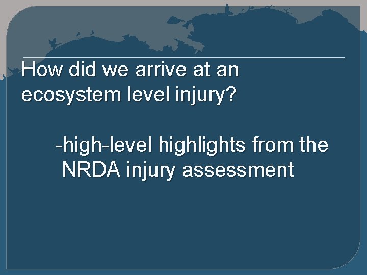 How did we arrive at an ecosystem level injury? -high-level highlights from the NRDA