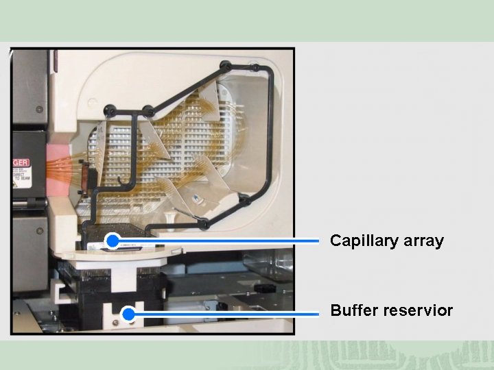 Capillary array Buffer reservior 