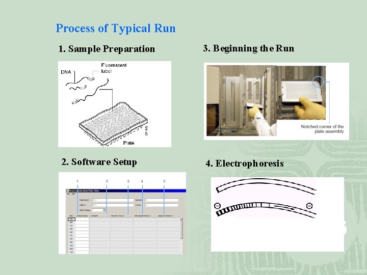 Process of Typical Run 1. Sample Preparation 3. Beginning the Run 2. Software Setup