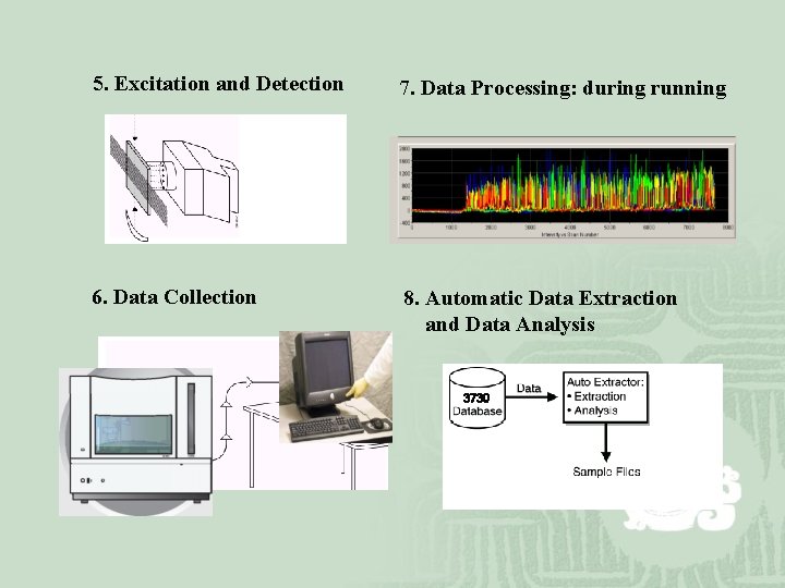 5. Excitation and Detection 7. Data Processing: during running 6. Data Collection 8. Automatic