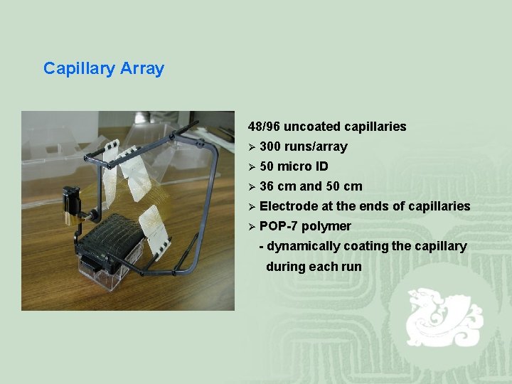 Capillary Array 48/96 uncoated capillaries Ø 300 runs/array Ø 50 micro ID Ø 36