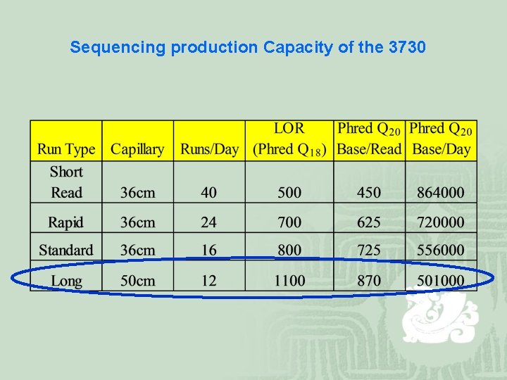 Sequencing production Capacity of the 3730 