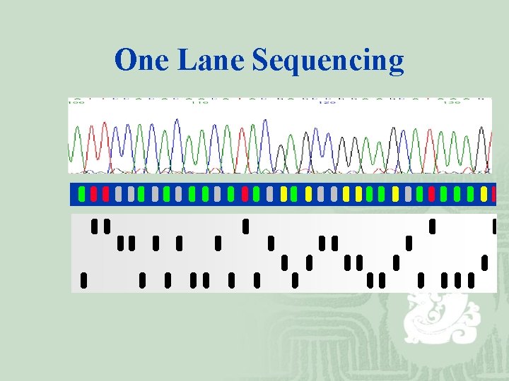 One Lane Sequencing 