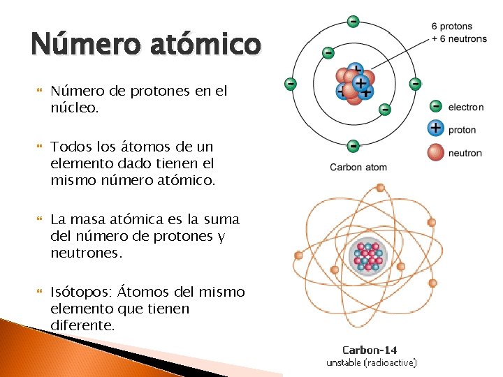 Número atómico Número de protones en el núcleo. Todos los átomos de un elemento