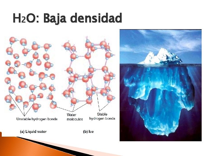 H 2 O: Baja densidad 