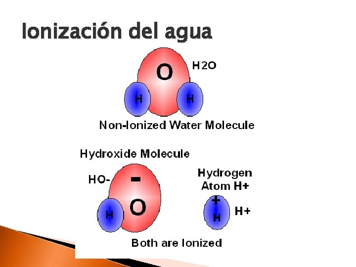 Ionización del agua 