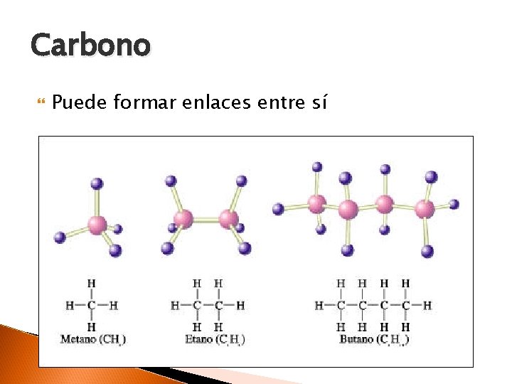 Carbono Puede formar enlaces entre sí 