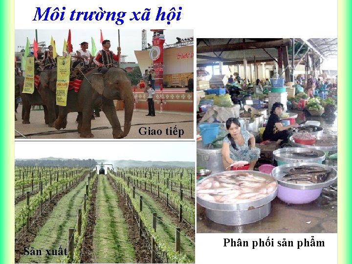 Môi trường xã hội Giao tiếp Sản xuất Phân phối sản phẩm 