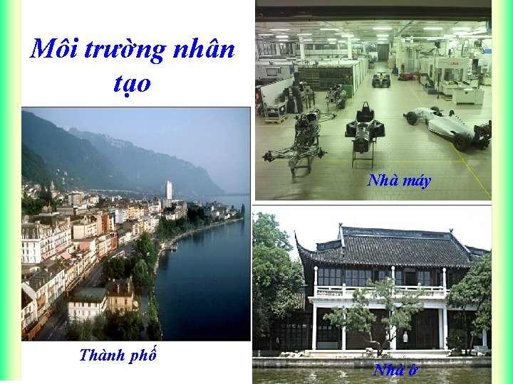 Môi trường nhân tạo Nhà máy Thành phố Nhà ở 