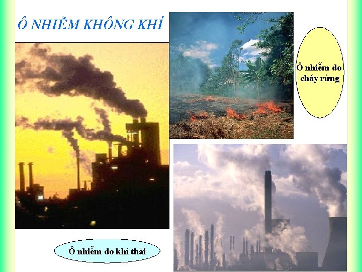 Ô NHIỄM KHÔNG KHÍ Ô nhiễm do cháy rừng Ô nhiễm do khí thải