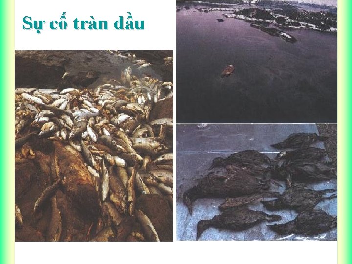 Sự cố tràn dầu 